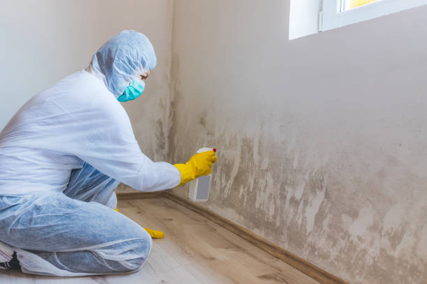 Licensed Mold Inspection service in Oxon Hill, MD - WQB Mold Removal
