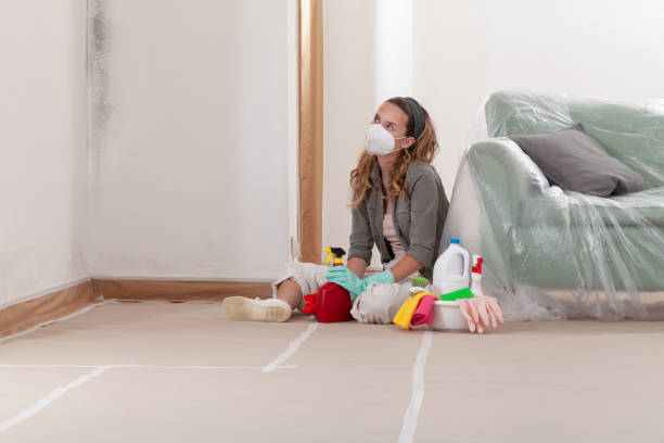 Reliable Mold Inspection contractor in Oxon Hill, MD by WQB Mold Removal