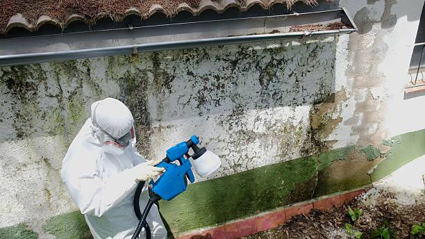 Top rated local Mold Inspection specialists in Oxon Hill, MD